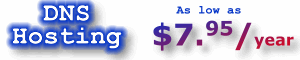DNS Hosting - $20 per year